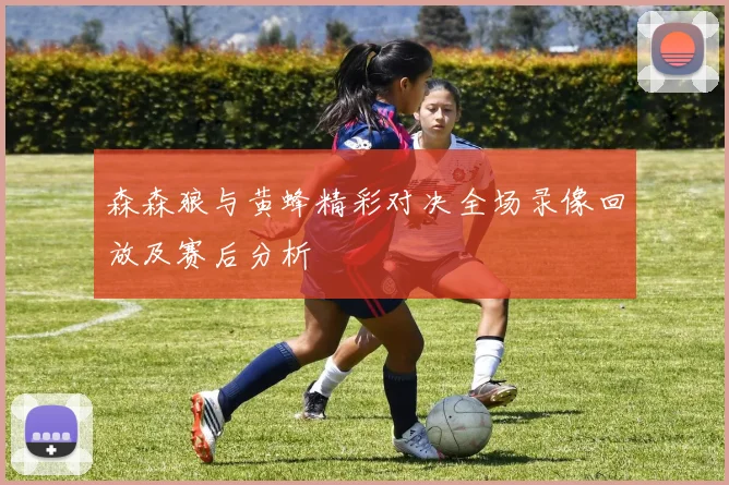 森森狼与黄蜂精彩对决全场录像回放及赛后分析